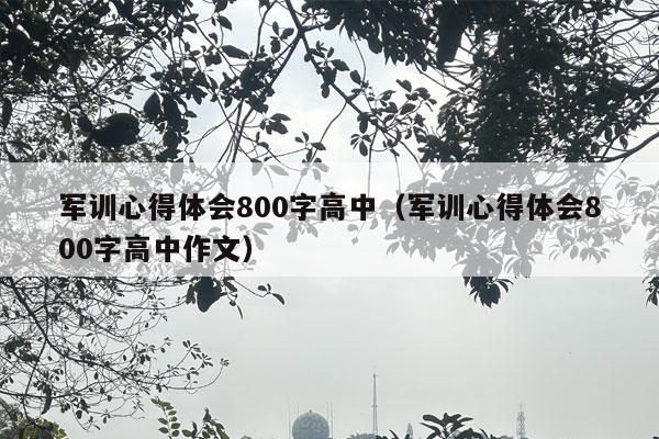 军训心得体会800字高中（军训心得体会800字高中作文）