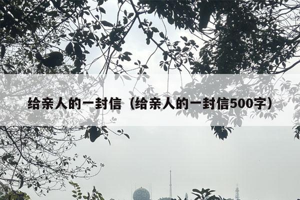 给亲人的一封信（给亲人的一封信500字）