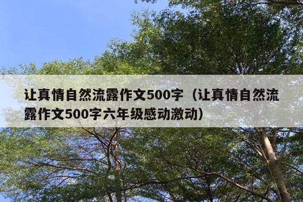 让真情自然流露作文500字（让真情自然流露作文500字六年级感动激动）