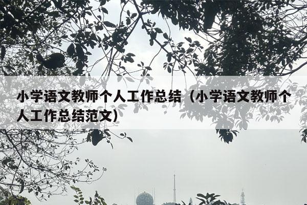 小学语文教师个人工作总结（小学语文教师个人工作总结范文）