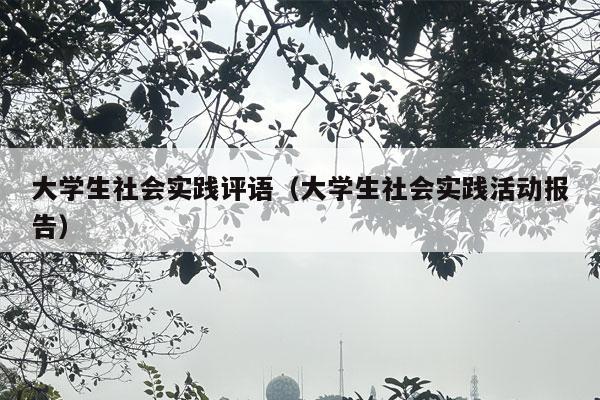 大学生社会实践评语（大学生社会实践活动报告）