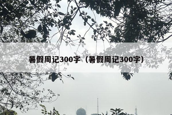 暑假周记300字（暑假周记300字）