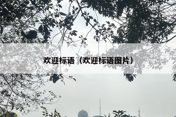 欢迎标语（欢迎标语图片）