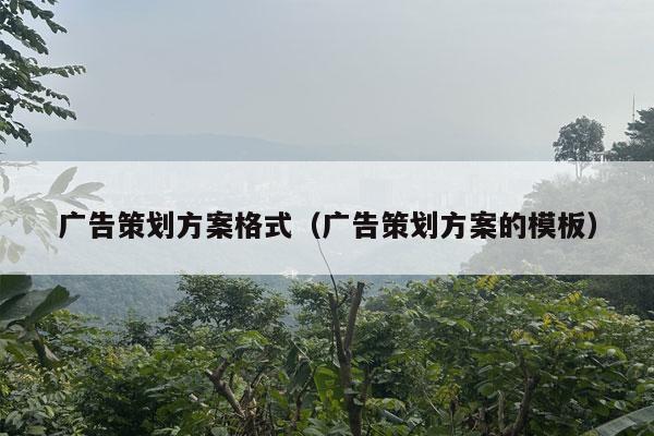 广告策划方案格式（广告策划方案的模板）