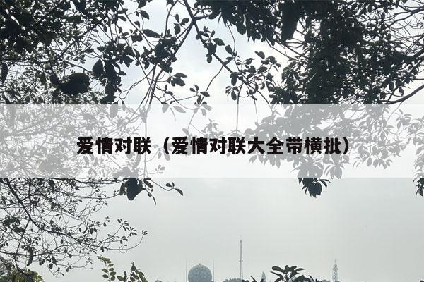 爱情对联（爱情对联大全带横批）