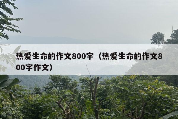 热爱生命的作文800字（热爱生命的作文800字作文）