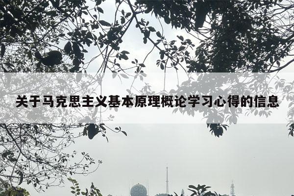 关于马克思主义基本原理概论学习心得的信息