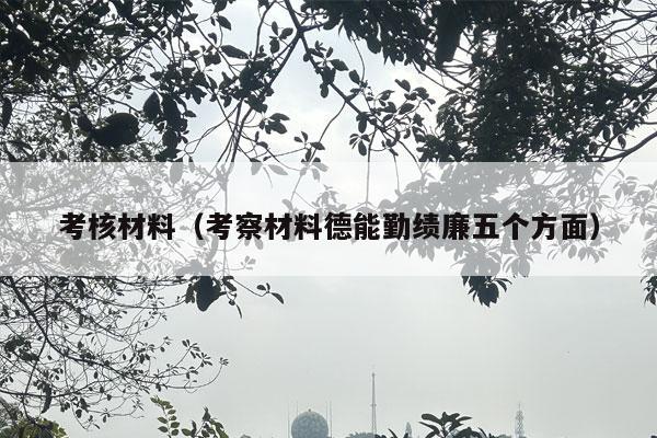 考核材料（考察材料德能勤绩廉五个方面）