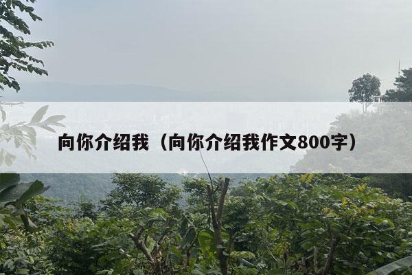 向你介绍我（向你介绍我作文800字）