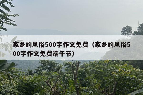 家乡的风俗500字作文免费（家乡的风俗500字作文免费端午节）