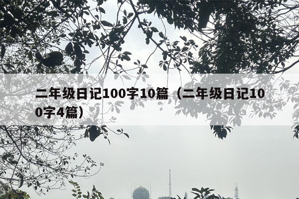 二年级日记100字10篇（二年级日记100字4篇）