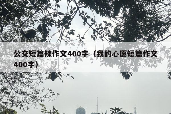 公交短篇辣作文400字（我的心愿短篇作文400字）