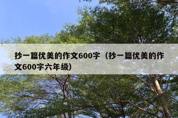 抄一篇优美的作文600字（抄一篇优美的作文600字六年级）