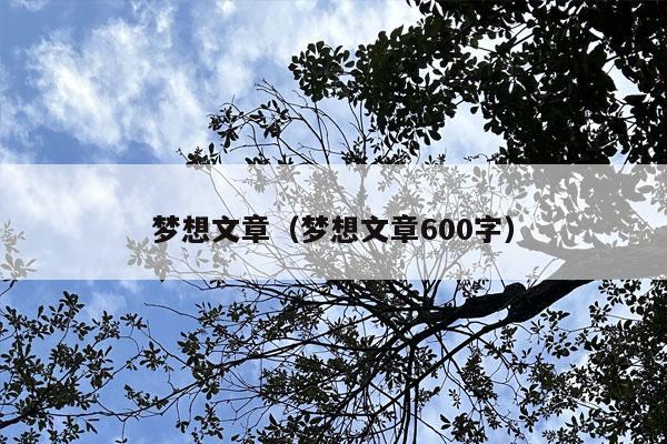 梦想文章（梦想文章600字）