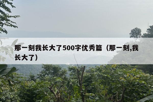 那一刻我长大了500字优秀篇（那一刻,我长大了）