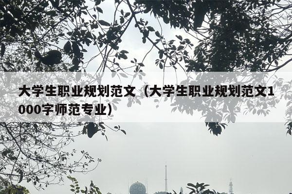 大学生职业规划范文（大学生职业规划范文1000字师范专业）