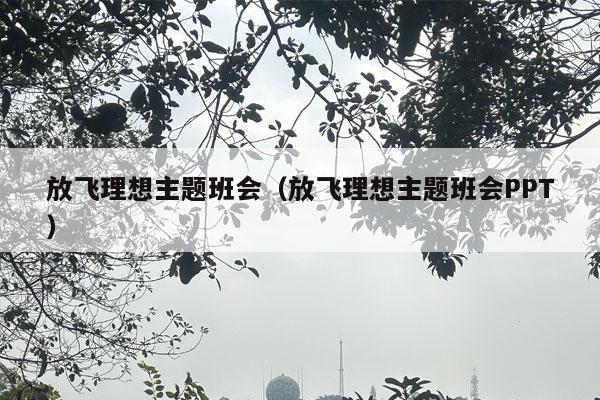 放飞理想主题班会（放飞理想主题班会PPT）