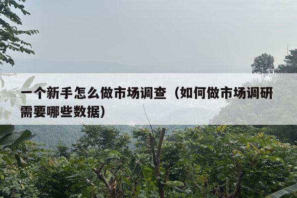 一个新手怎么做市场调查（如何做市场调研 需要哪些数据）