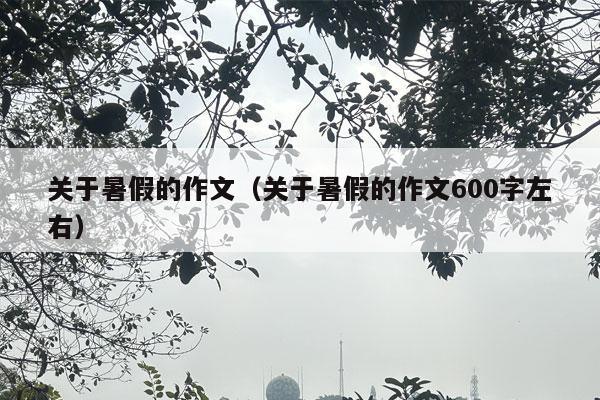 关于暑假的作文（关于暑假的作文600字左右）