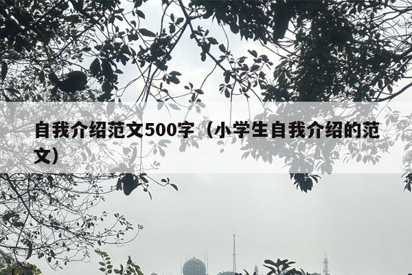 自我介绍范文500字（小学生自我介绍的范文）