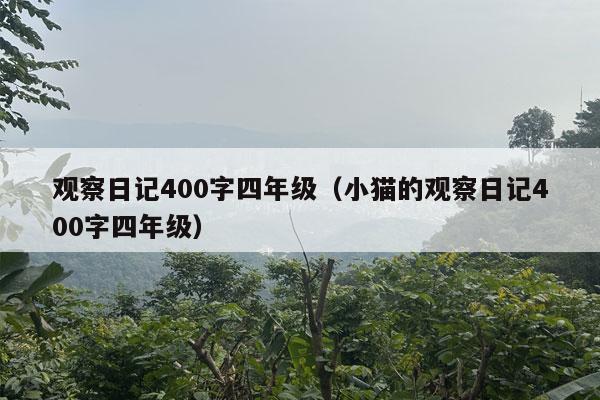 观察日记400字四年级（小猫的观察日记400字四年级）