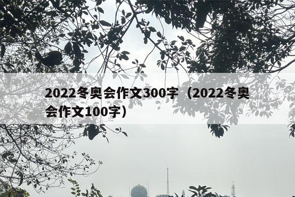 2022冬奥会作文300字（2022冬奥会作文100字）