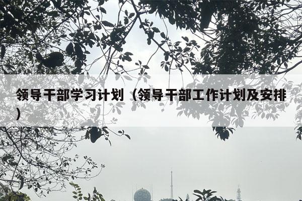 领导干部学习计划（领导干部工作计划及安排）