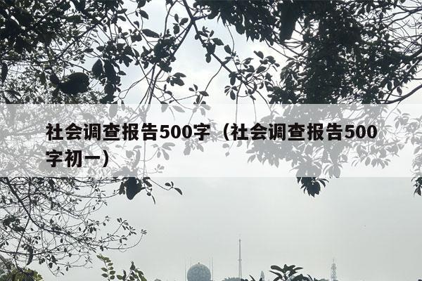 社会调查报告500字（社会调查报告500字初一）