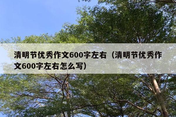 清明节优秀作文600字左右（清明节优秀作文600字左右怎么写）