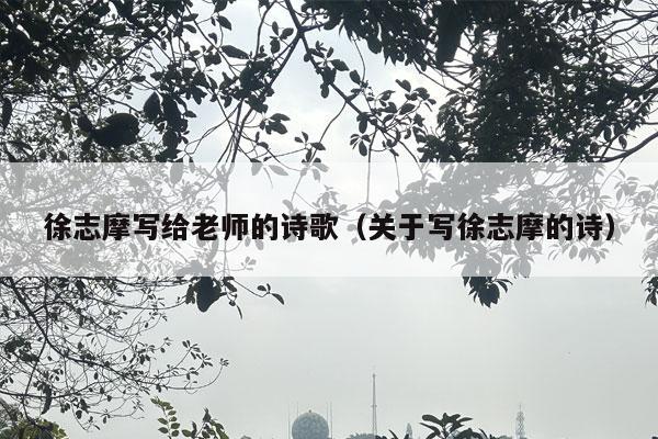 徐志摩写给老师的诗歌（关于写徐志摩的诗）