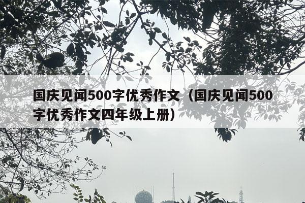 国庆见闻500字优秀作文（国庆见闻500字优秀作文四年级上册）