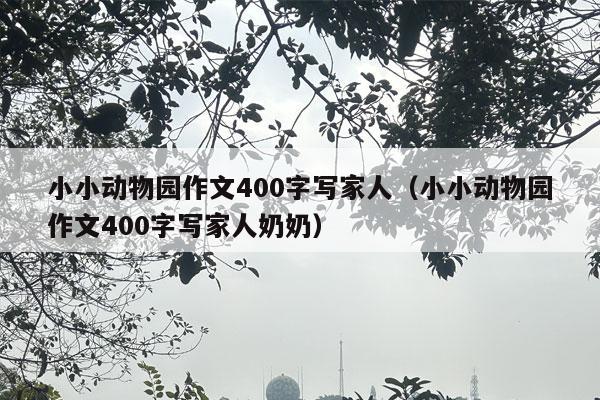 小小动物园作文400字写家人（小小动物园作文400字写家人奶奶）