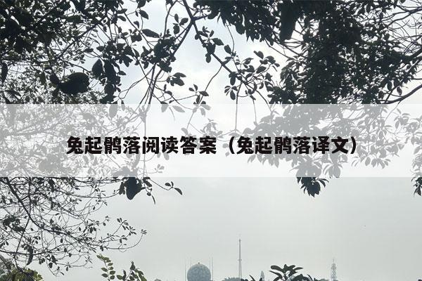 兔起鹘落阅读答案（兔起鹘落译文）