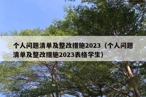 个人问题清单及整改措施2023（个人问题清单及整改措施2023表格学生）