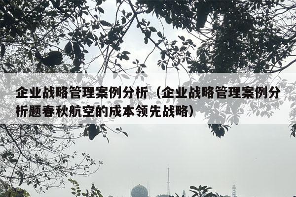 企业战略管理案例分析（企业战略管理案例分析题春秋航空的成本领先战略）