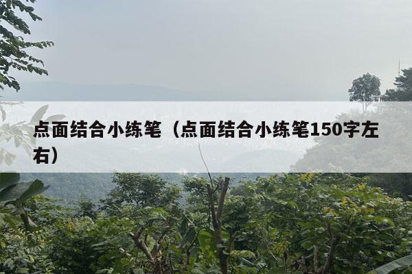 点面结合小练笔（点面结合小练笔150字左右）