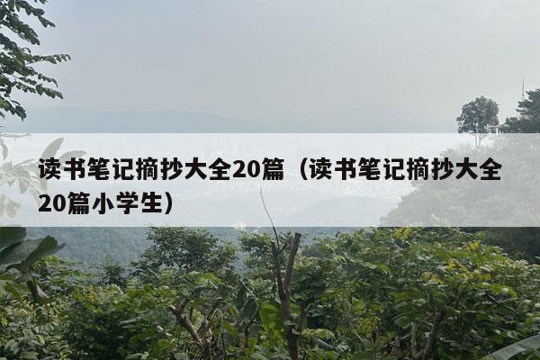 读书笔记摘抄大全20篇（读书笔记摘抄大全20篇小学生）