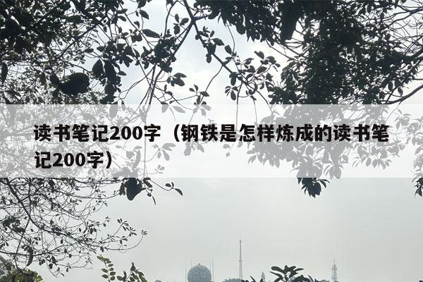 读书笔记200字（钢铁是怎样炼成的读书笔记200字）