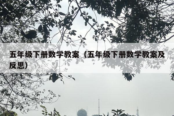 五年级下册数学教案（五年级下册数学教案及反思）