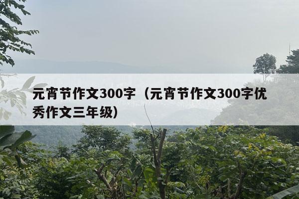 元宵节作文300字（元宵节作文300字优秀作文三年级）