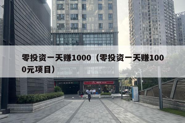 零投资一天赚1000（零投资一天赚1000元项目）