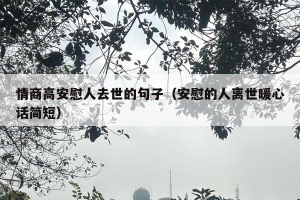 情商高安慰人去世的句子（安慰的人离世暖心话简短）