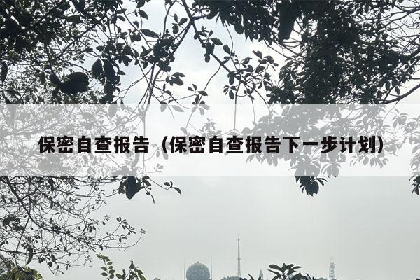 保密自查报告（保密自查报告下一步计划）