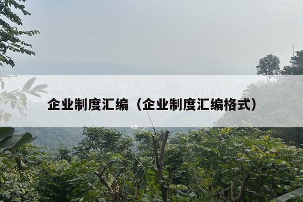 企业制度汇编（企业制度汇编格式）