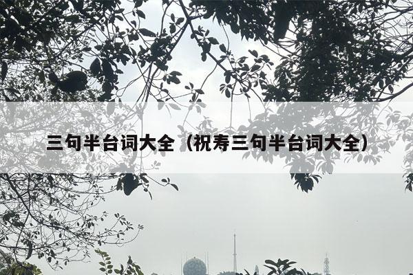 三句半台词大全（祝寿三句半台词大全）