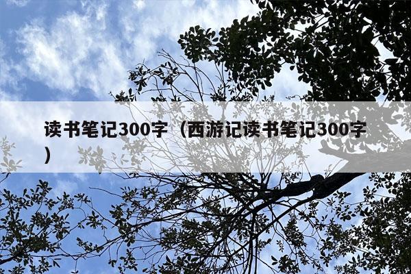 读书笔记300字（西游记读书笔记300字）