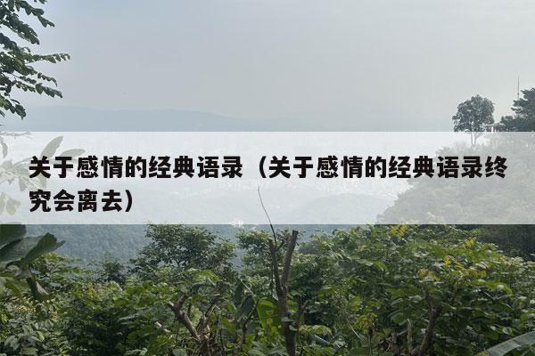 关于感情的经典语录（关于感情的经典语录终究会离去）