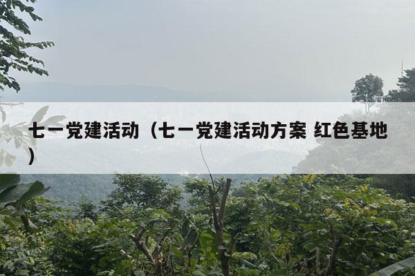 七一党建活动（七一党建活动方案 红色基地）