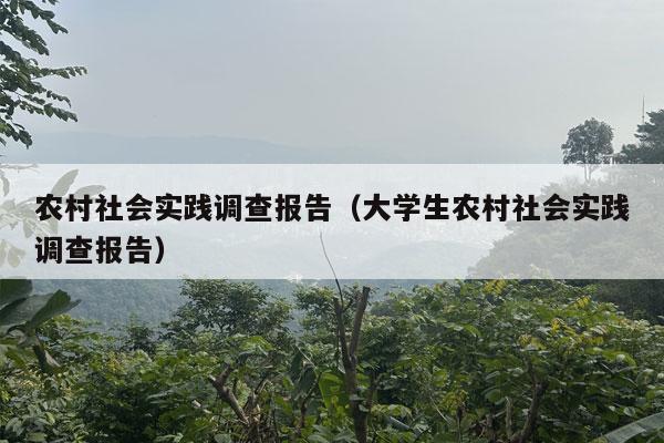 农村社会实践调查报告（大学生农村社会实践调查报告）