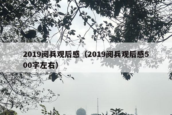 2019阅兵观后感（2019阅兵观后感500字左右）